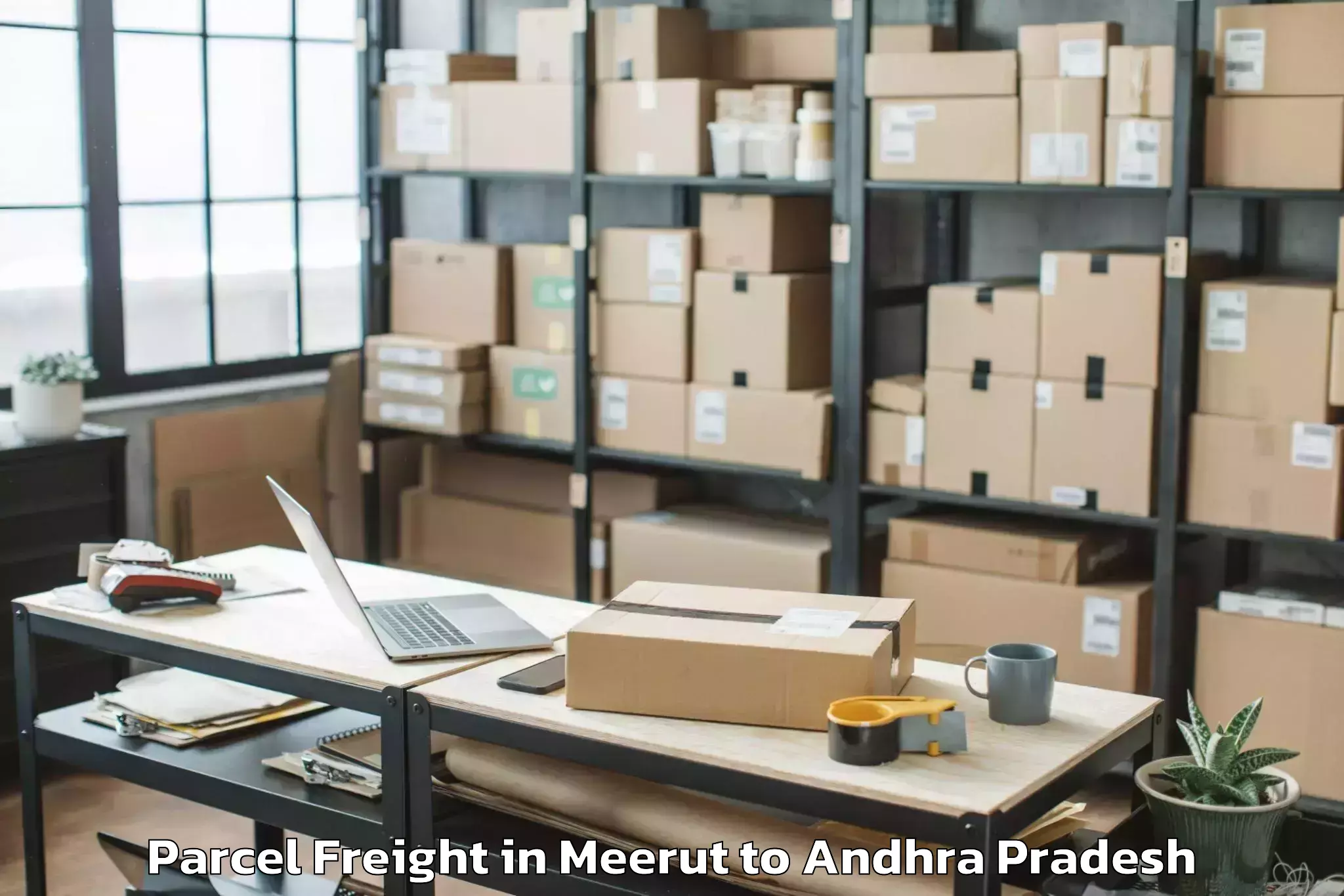 Professional Meerut to Denduluru Parcel Freight